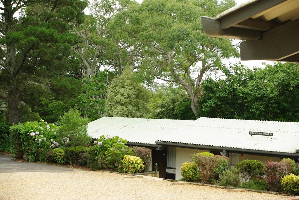 Blackheath Motor Inn Exterior photo